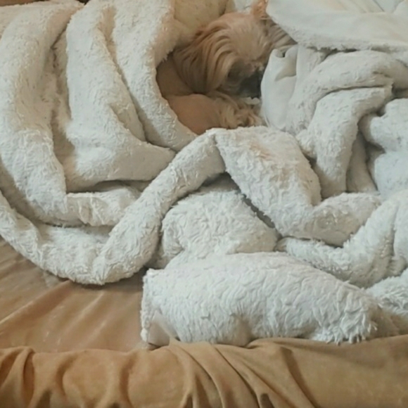 Meet your Posher - Picture 1 of 1